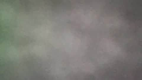Snapshot of all_most_sane chatting on 06.19.26 all_most_sane online show from 06.19.26