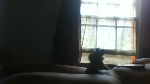 allbermy online show from 11.11.25