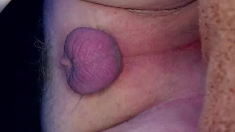 Growing Wiener online show from 03.27.26