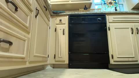 wishlist on bio online show from 12.04.25