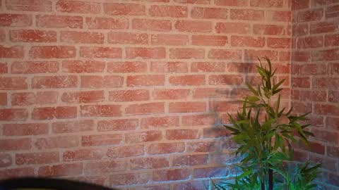 Snapshot of alliesynns chatting on 12.21.24 Allie online show from 12.21.24