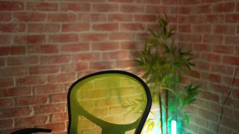 Snapshot of alliesynns chatting on 12.23.24 Allie online show from 12.23.24