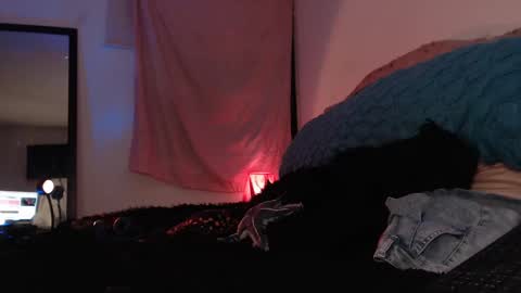 Ally online show from 02.16.25