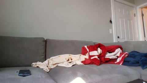 Snapshot of allylove2626 chatting on 09.09.25 allylove2626 online show from 09.09.25