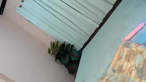 Snapshot of alove_too_last chatting on 02.02.25 LEXY online show from 02.02.25