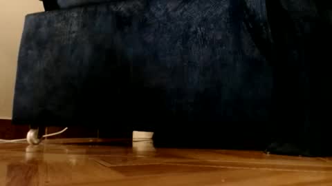 ur god online show from 03.01.26