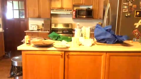 Snapshot of alvie_bones chatting on 01.26.25 Alvie online show from 01.26.25