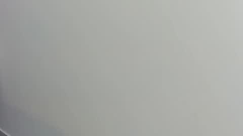 Alvin Daley online show from 11.14.25