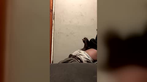 alwayshorny240177 online show from 02.13.26