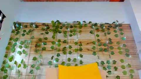 alyssia online show from 03.01.25