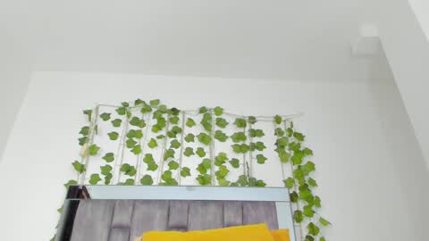 alyssia online show from 09.10.25