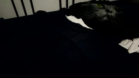 Snapshot of amadeusz chatting on 12.06.24 amadeusz online show from 12.06.24