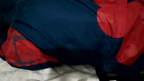 Snapshot of amadeusz chatting on 12.22.24 amadeusz online show from 12.22.24