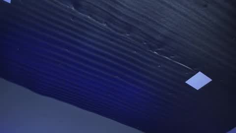 Emily online show from 01.14.25