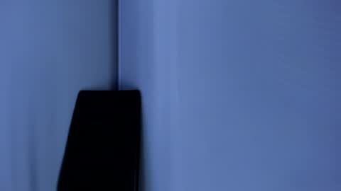 Emily online show from 01.17.25