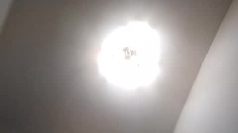 Snapshot of amatuercouple668922 chatting on 01.17.25 Petruss s Csabesztoo online show from 01.17.25