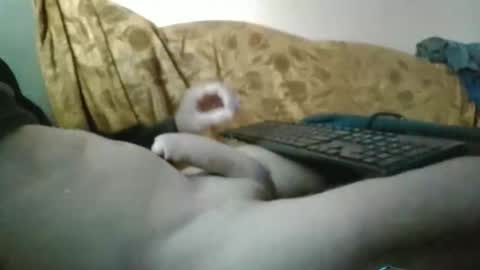 Snapshot of amazingcuteboy845 chatting on 09.29.25 amazingcuteboy845 online show from 09.29.25