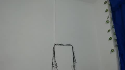 Snapshot of ambel_rose chatting on 12.11.24 ambel_rose online show from 12.11.24