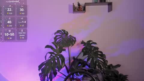 Vivi  online show from 01.12.26