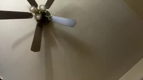 amberkni online show from 03.22.26