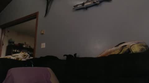 ambers666999 online show from 10.25.25