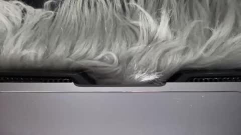 Amelia online show from 03.15.26