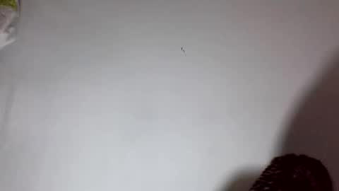 Snapshot of amelisy20005 chatting on 02.22.26 amelisy20005 online show from 02.22.26