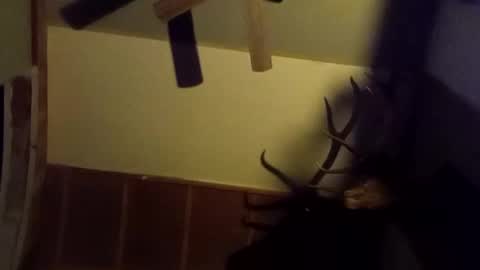 Snapshot of ammoman22 chatting on 03.09.25 ammoman22 online show from 03.09.25