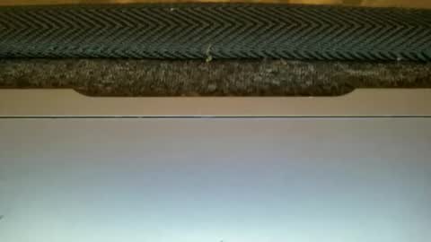 23cm4you online show from 02.11.26