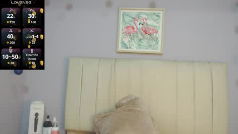 Amy online show from 02.26.26