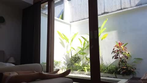 girl next door named Amy online show from 03.03.25