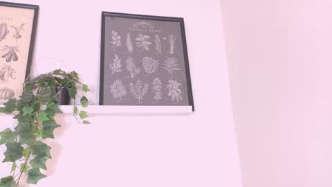  AMMY  online show from 02.20.26