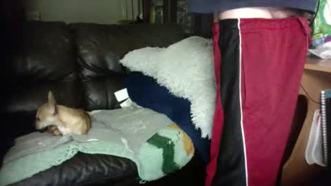 anal_king666 online show from 01.12.26