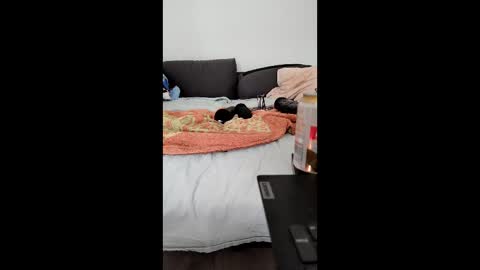 analtraining12 online show from 03.26.26