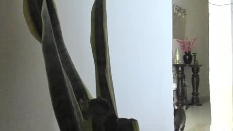 Ana Pakerman online show from 03.09.25