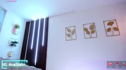 Snapshot of anastalin chatting on 02.17.26 Ana Stalin online show from 02.17.26