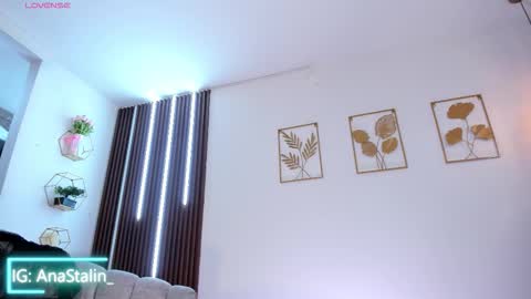 Snapshot of anastalin chatting on 02.19.26 Ana Stalin online show from 02.19.26