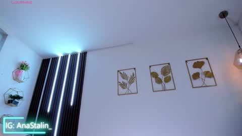 Snapshot of anastalin chatting on 02.22.26 Ana Stalin online show from 02.22.26