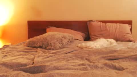 Snapshot of andrasweetie chatting on 02.25.26 Andra online show from 02.25.26