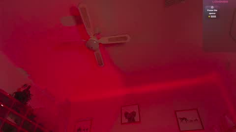 Andre Cole online show from 02.10.25