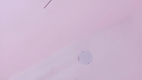 A n d r  e a S w e e t  online show from 03.21.26