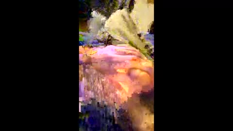 Snapshot of andrefeetlover11849 chatting on 12.17.25 andrefeetlover11849 online show from 12.17.25