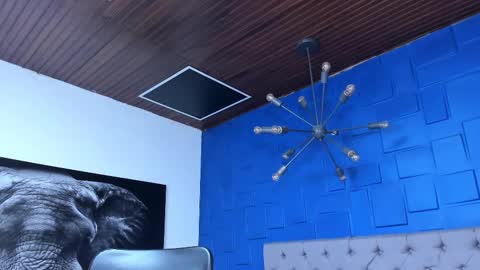 insta andres clark  online show from 12.14.25