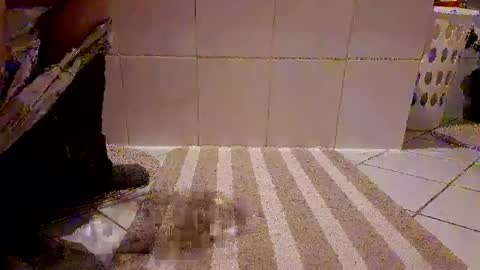 andris40 online show from 02.08.26