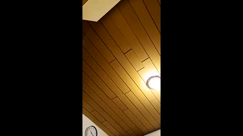 andris40 online show from 03.22.26