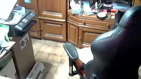 androgynia online show from 10.17.25