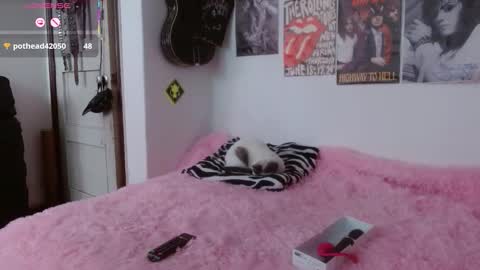 andy online show from 11.06.25