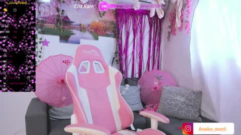 Snapshot of aneko_morii chatting on 12.29.24 online show from 12.29.24