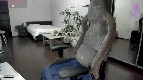 Angelica online show from 11.15.25