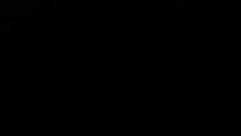 Angel Fox online show from 12.05.24